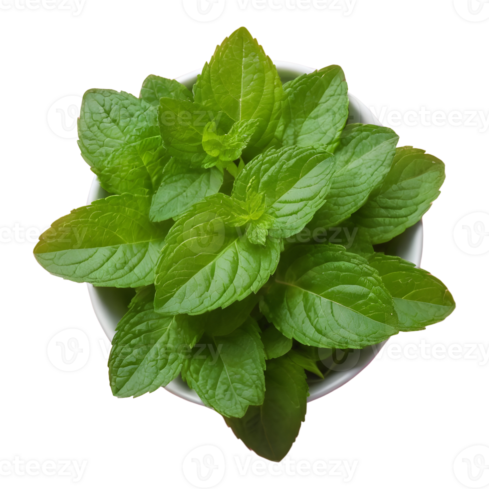 AI generated Health benefits of green and fresh mint leaves isolated 38243306 PNG