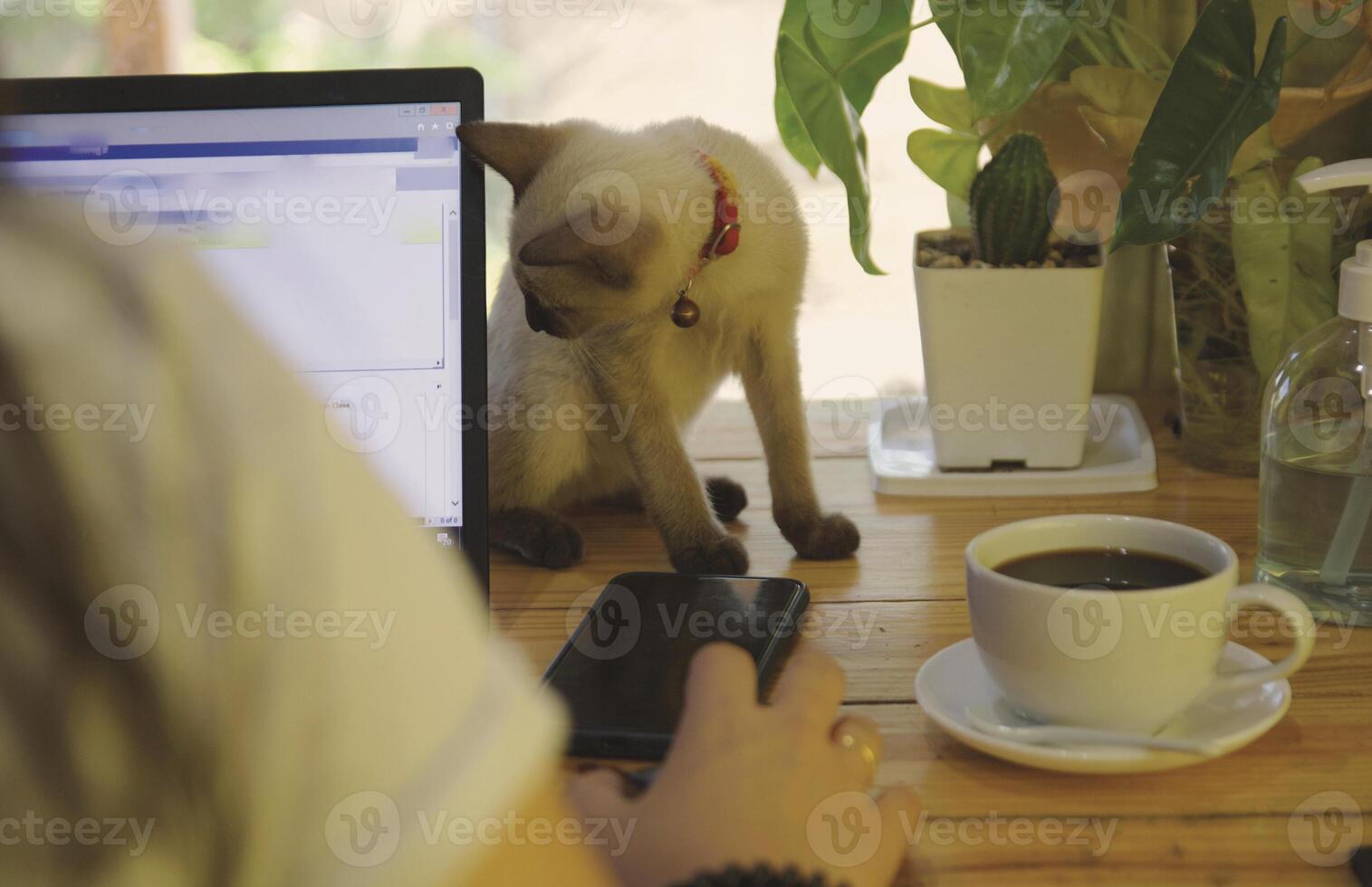 Women using working and drink coffee cup hot at home photo