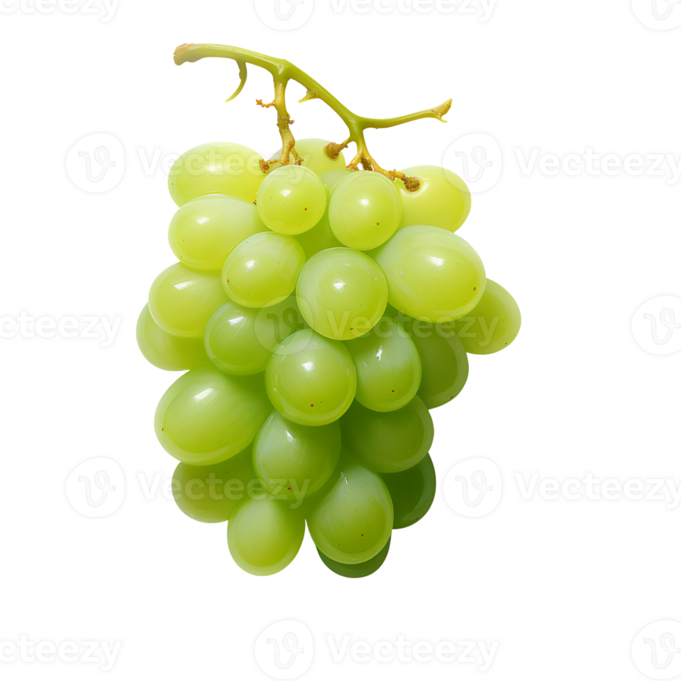 AI generated Green Grapes Fresh Grapes on the Vine No Background png