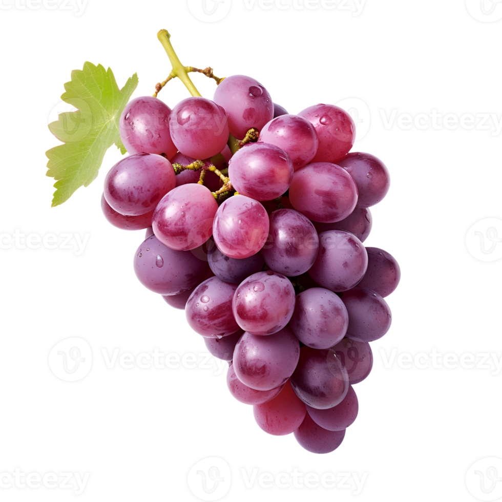 ai gerado fresco uvas roxa uvas uvas em a videira não fundo png