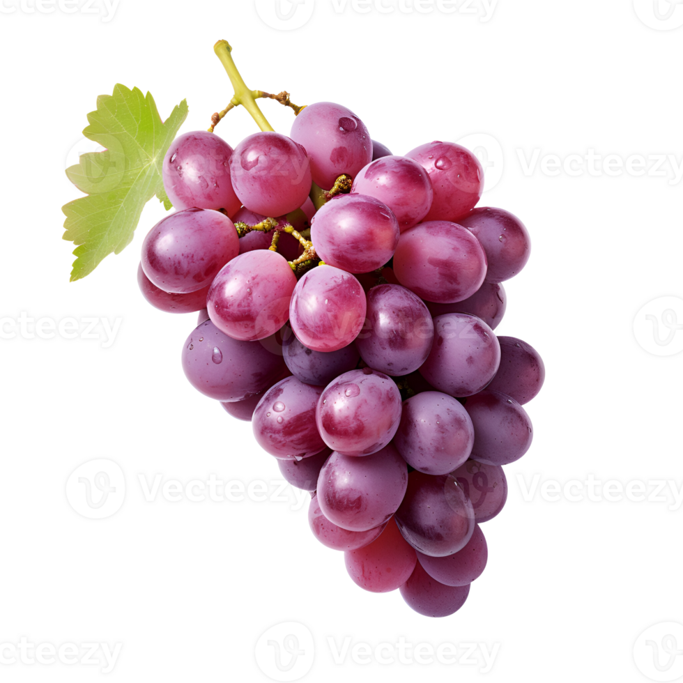 AI generated Fresh Grapes Purple Grapes Grapes on the Vine No Background png