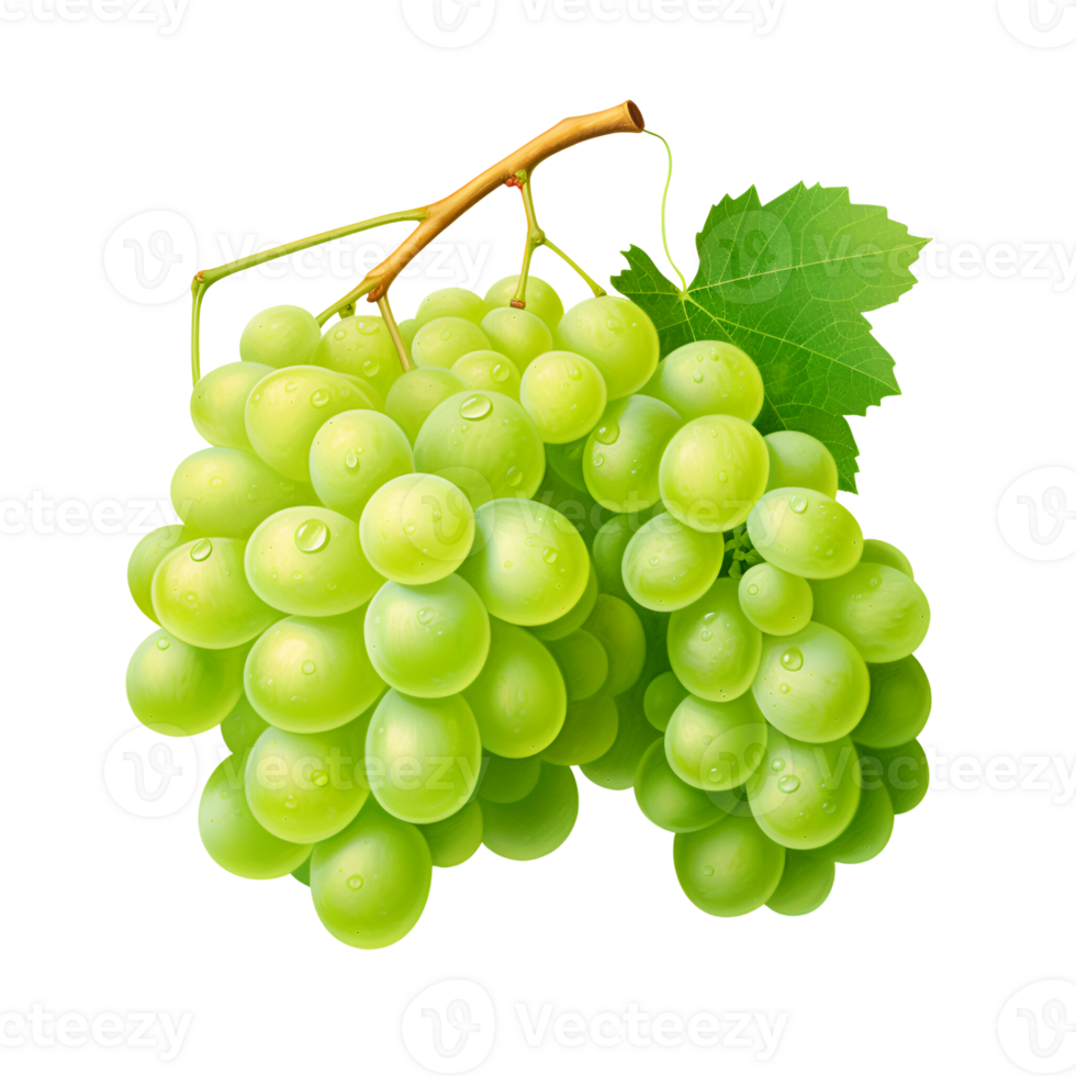 AI generated Green Grapes Fresh Grapes on the Vine No Background png