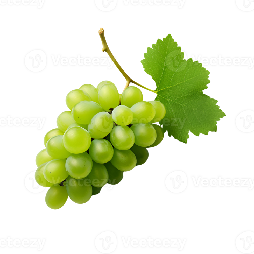 AI generated Green Grapes Fresh Grapes on the Vine No Background png