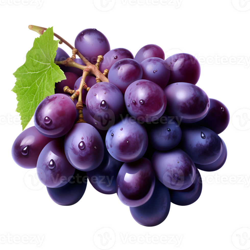 ai gerado fresco uvas roxa uvas uvas em a videira não fundo png