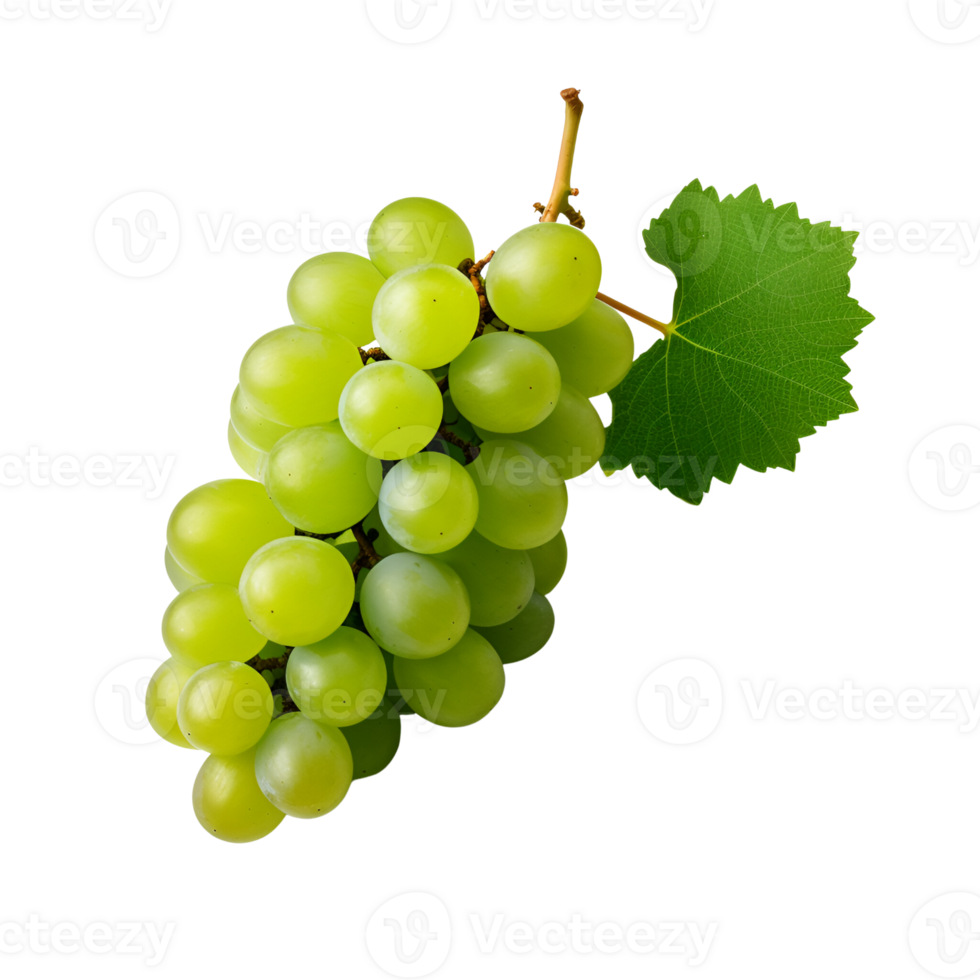 AI generated Green Grapes Fresh Grapes on the Vine No Background png