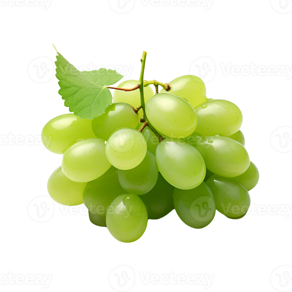 AI generated Green Grapes Fresh Grapes on the Vine No Background png