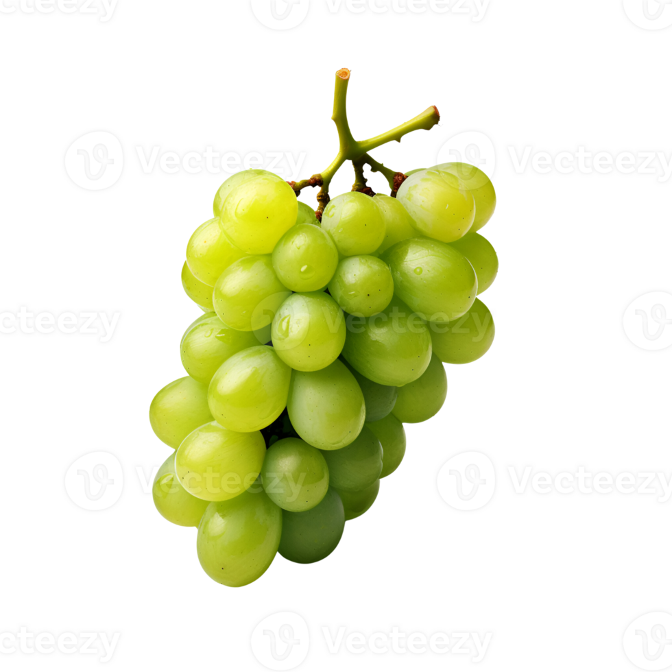 ai gerado verde uvas fresco uvas em a videira não fundo png