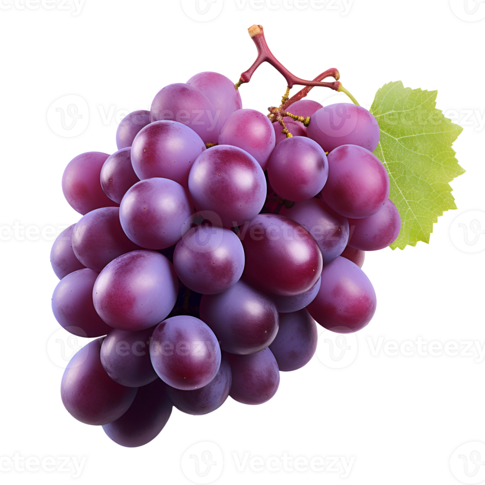 AI generated Fresh Grapes Purple Grapes Grapes on the Vine No Background png