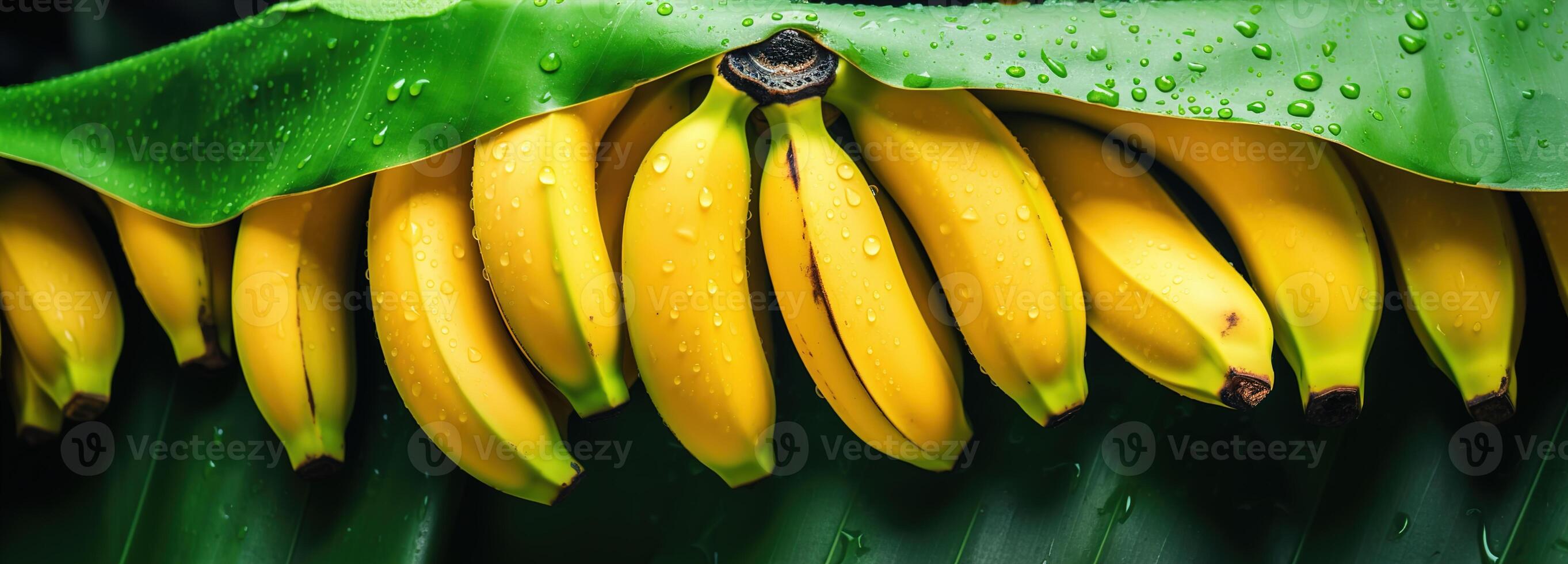 AI generated Closeup View of Fresh Yellow Bananas with Vibrant Leaves, A Tropical Delight - Ideal for Fruit Backgrounds and Natural Food Themes photo