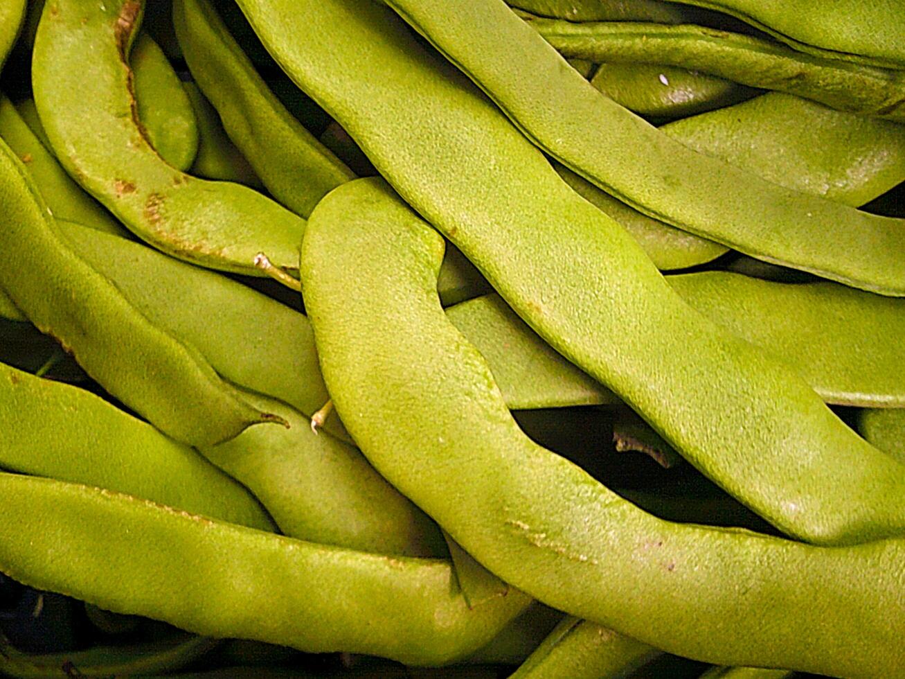 Green Beans, Madeira Island, Porto da Cruz Vegetable photo
