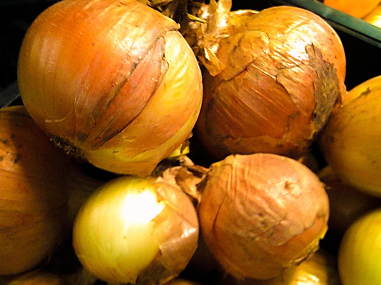 Brown Onions, Madeira Island, Porto da Cruz Vegetable photo