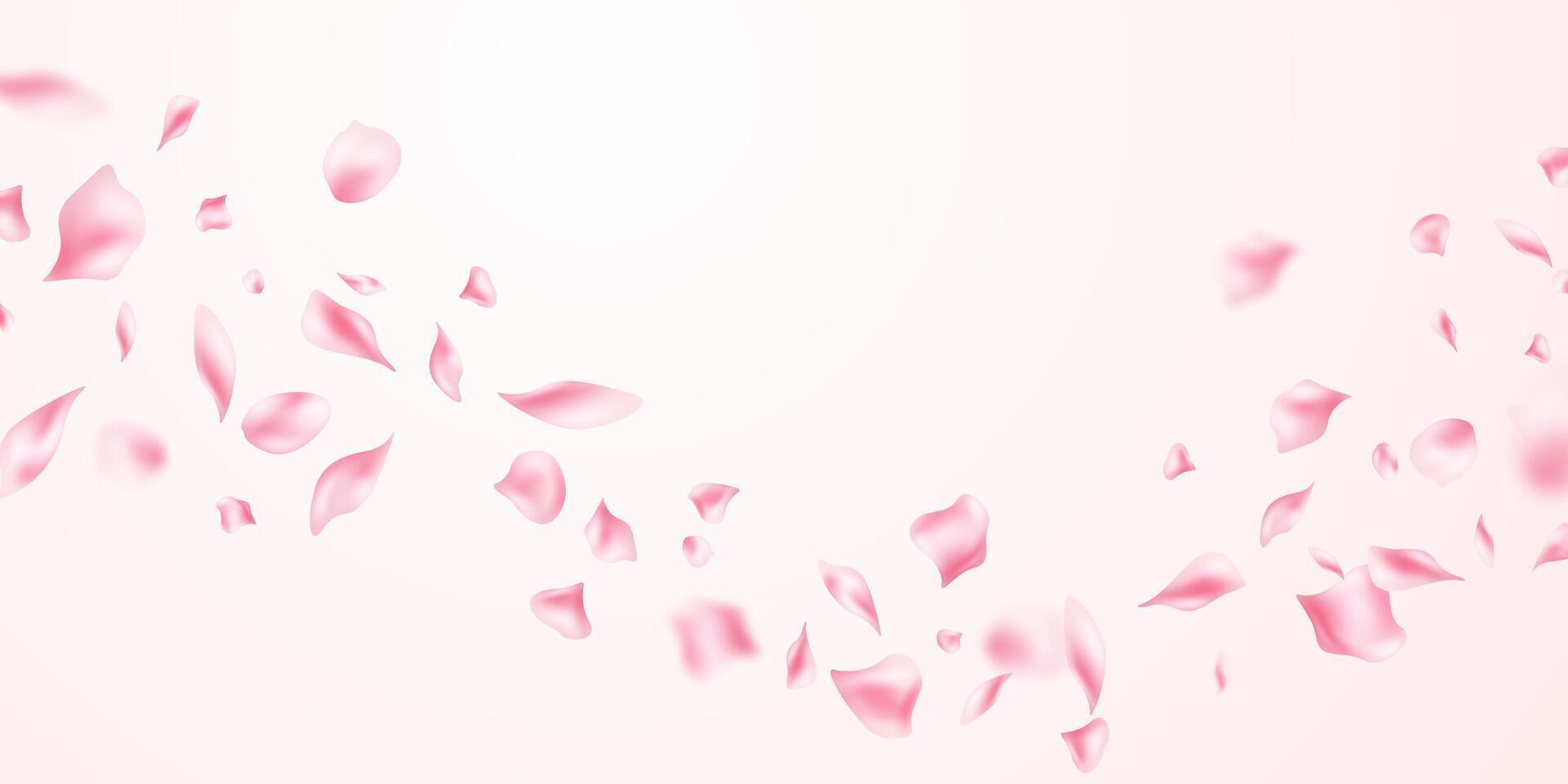 Pink rose petals fall on an abstract floral background with a beautiful rose petal greeting card design. vector