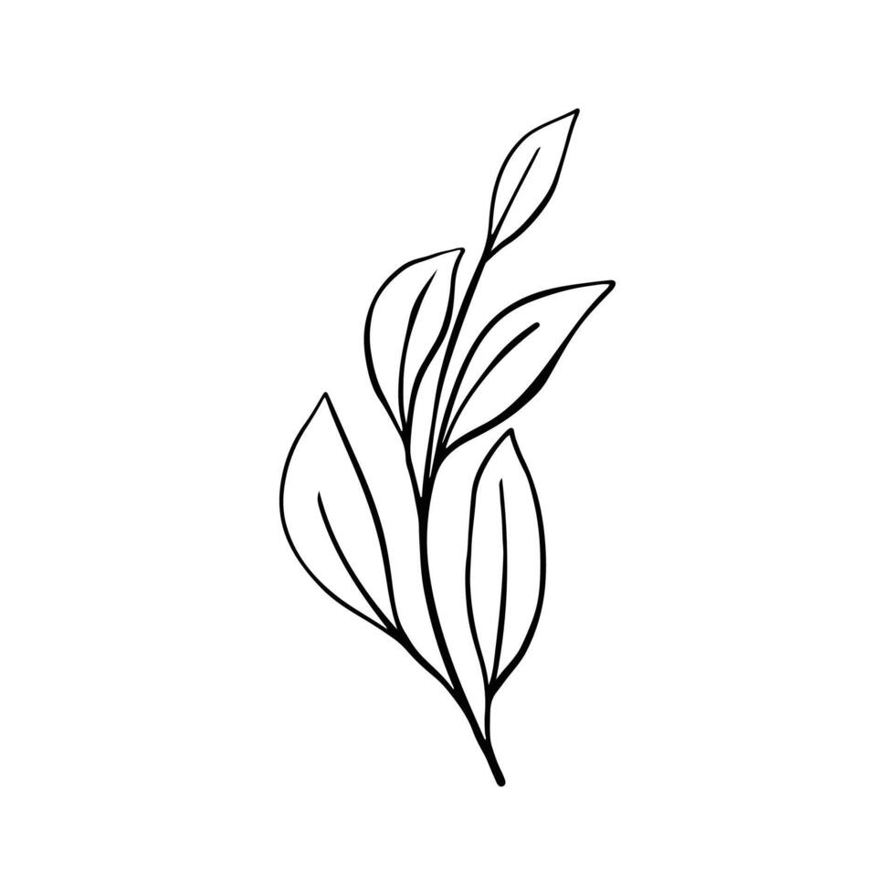 Single Leaf Line Art Illustration Isolated in White. Floral decoration branch leaf plant line. Modern single line art, aesthetic contour. Perfect for home decor such as posters, wall art, tote bag etc vector