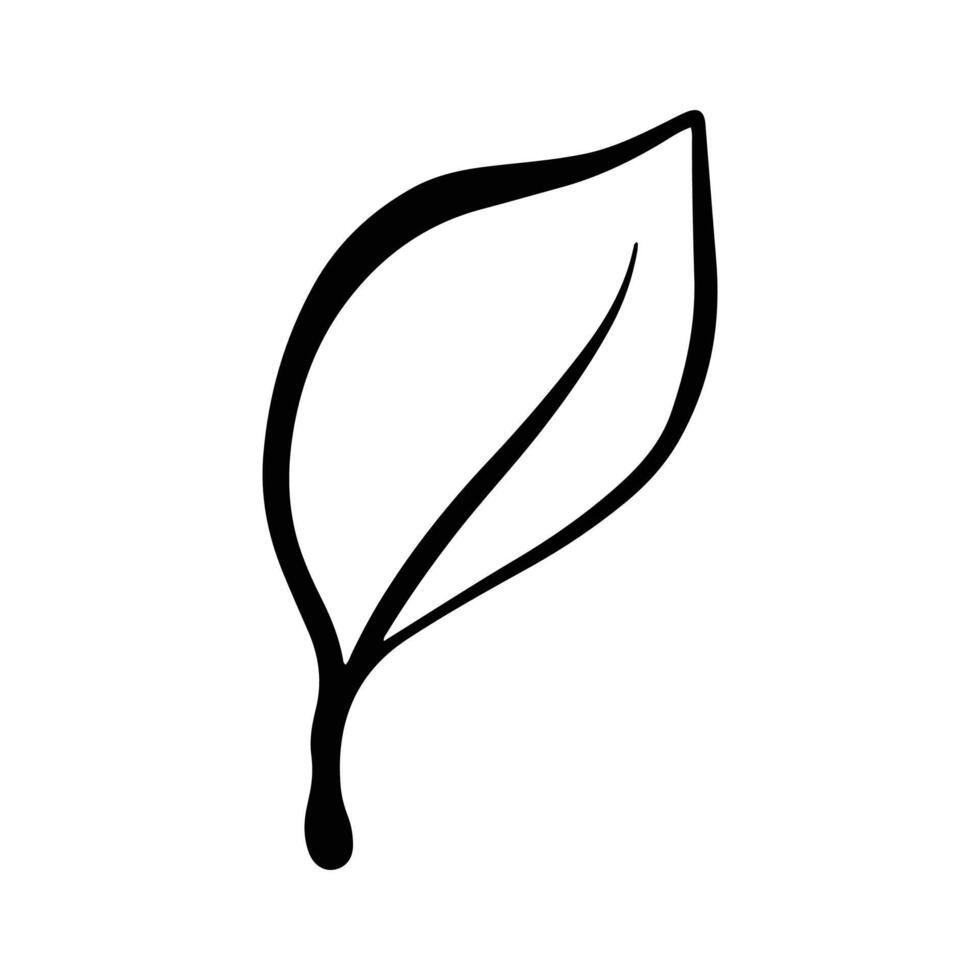 Single Leaf Line Art Illustration Isolated in White. Floral decoration branch leaf plant line. Modern single line art, aesthetic contour. Perfect for home decor such as posters, wall art, tote bag etc vector