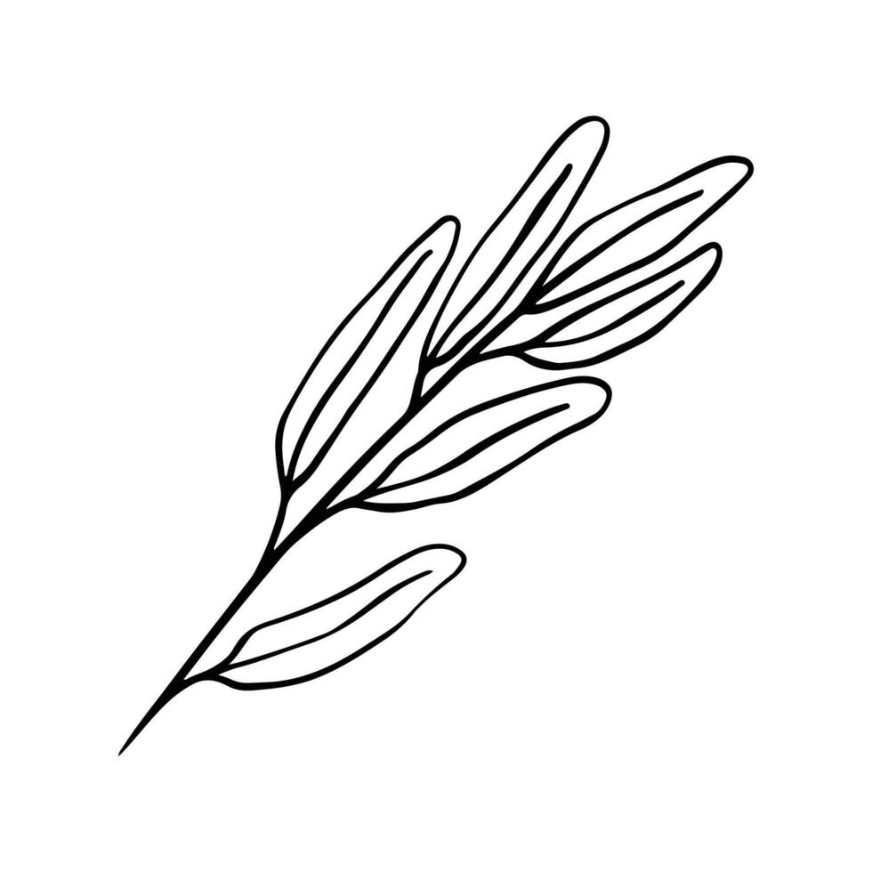 Single Leaf Line Art Illustration Isolated in White. Floral decoration branch leaf plant line. Modern single line art, aesthetic contour. Perfect for home decor such as posters, wall art, tote bag etc vector