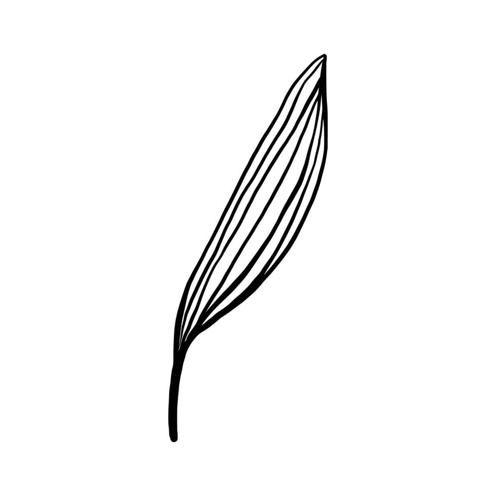 Single Leaf Line Art Illustration Isolated in White. Floral decoration branch leaf plant line. Modern single line art, aesthetic contour. Perfect for home decor such as posters, wall art, tote bag etc vector