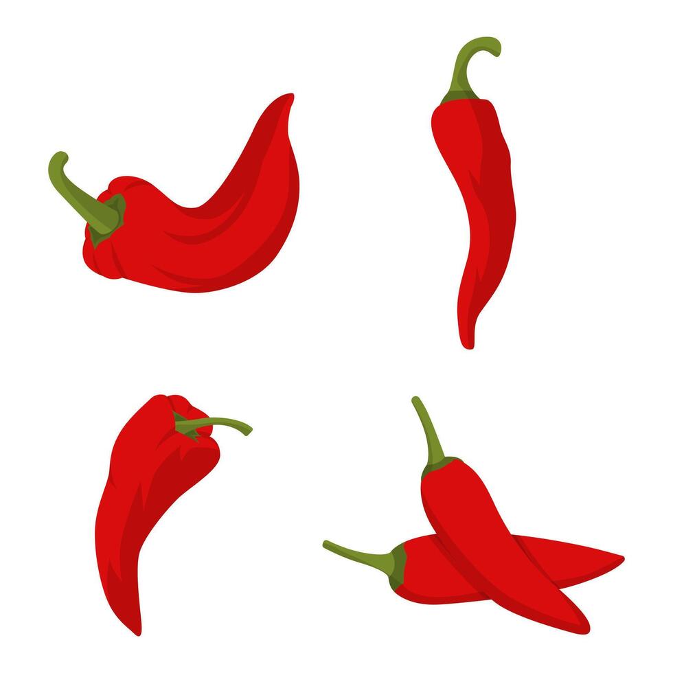 Collection of red chilies flat design. Cayenne pepper. Vector illustration