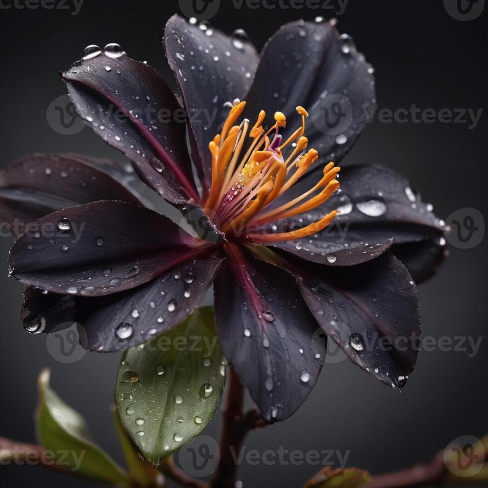 AI generated Exotic Flower C photo