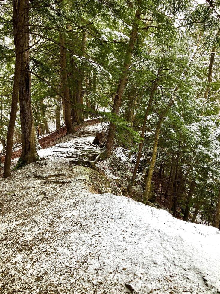 Hiking ridge top fresh snow pine trees photo