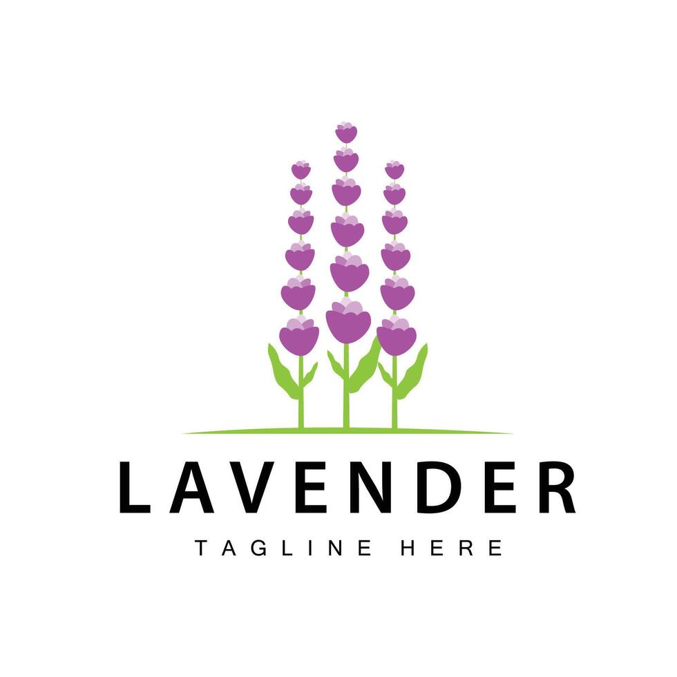 Lavender logo simple design vector cosmetic plant purple color and aromatherapy lavender flower garden template