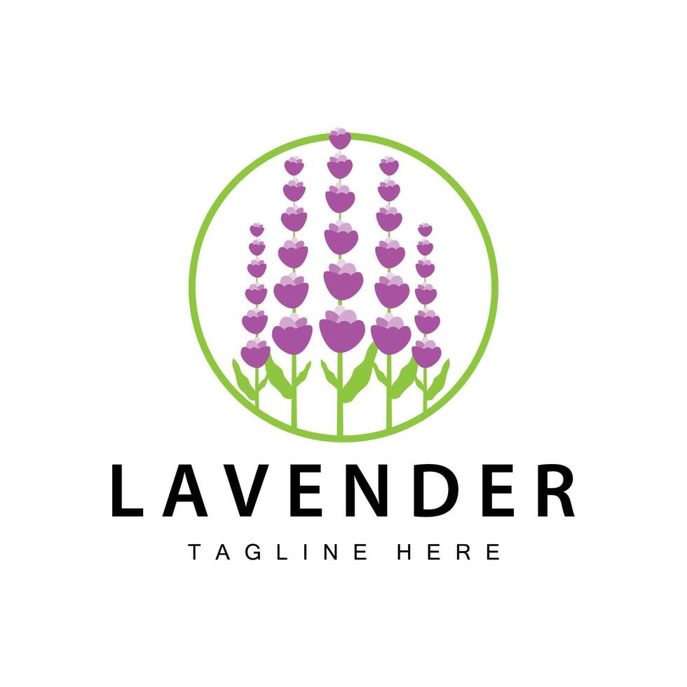 lavanda logo sencillo diseño vector cosmético planta púrpura color y aromaterapia lavanda flor jardín modelo