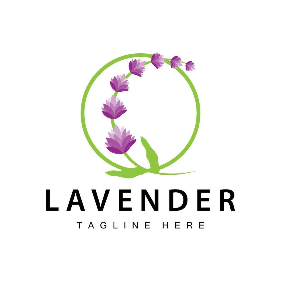 lavanda logo sencillo diseño vector cosmético planta púrpura color y aromaterapia lavanda flor jardín modelo