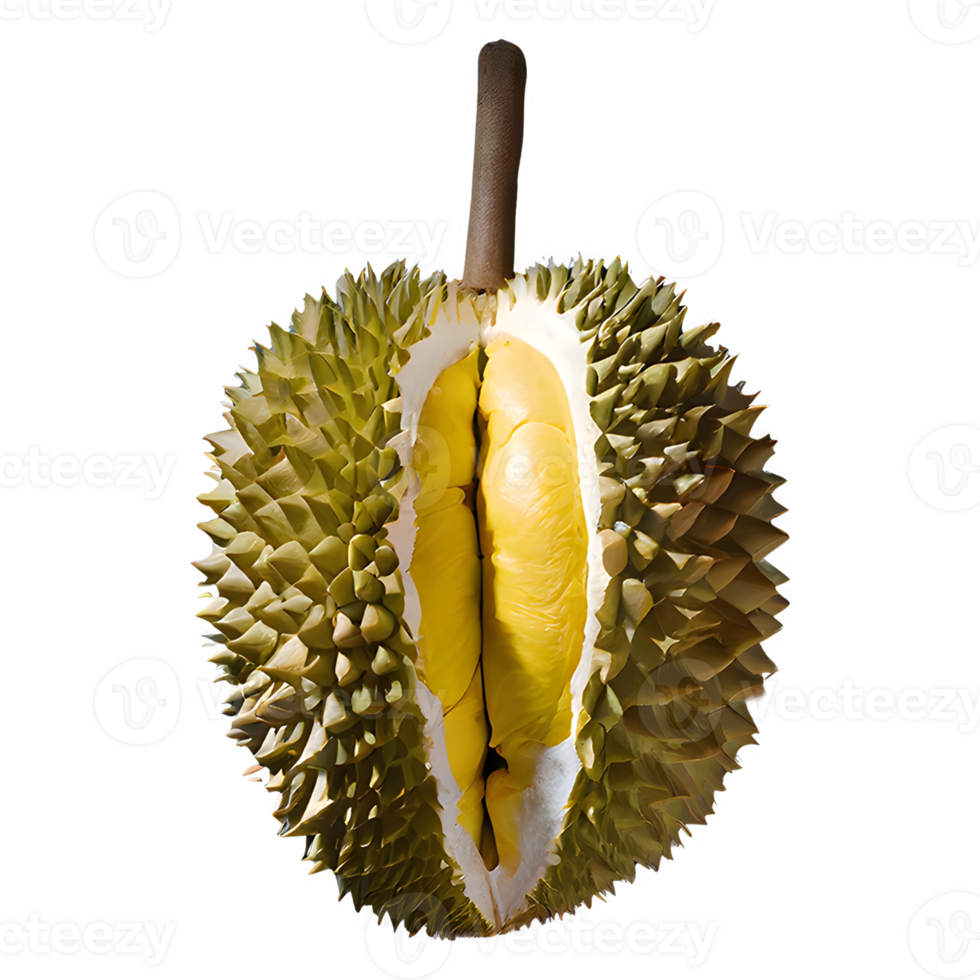 AI generated Ripe durian fruit isolated on transparent background png