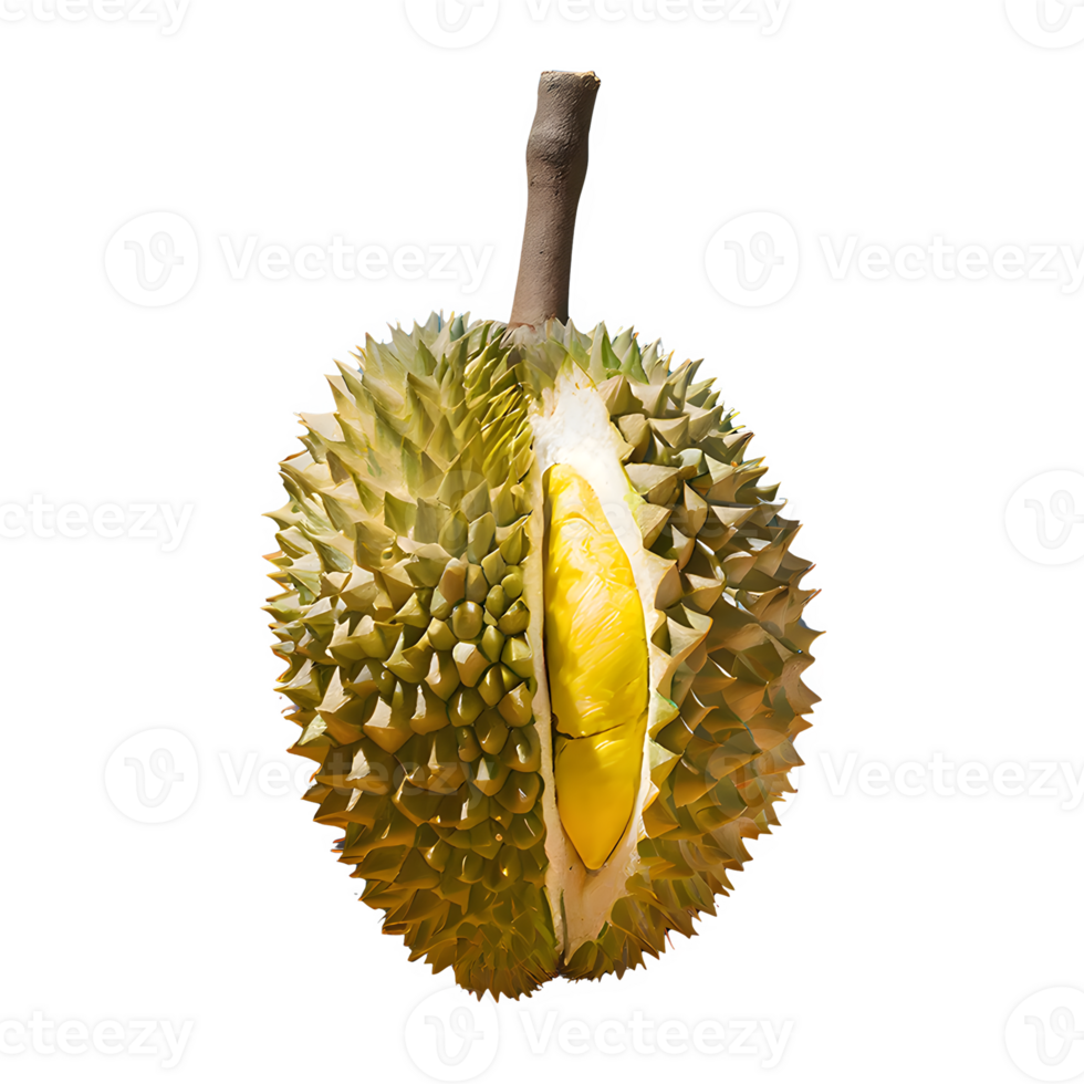 AI generated Ripe durian fruit isolated on transparent background png