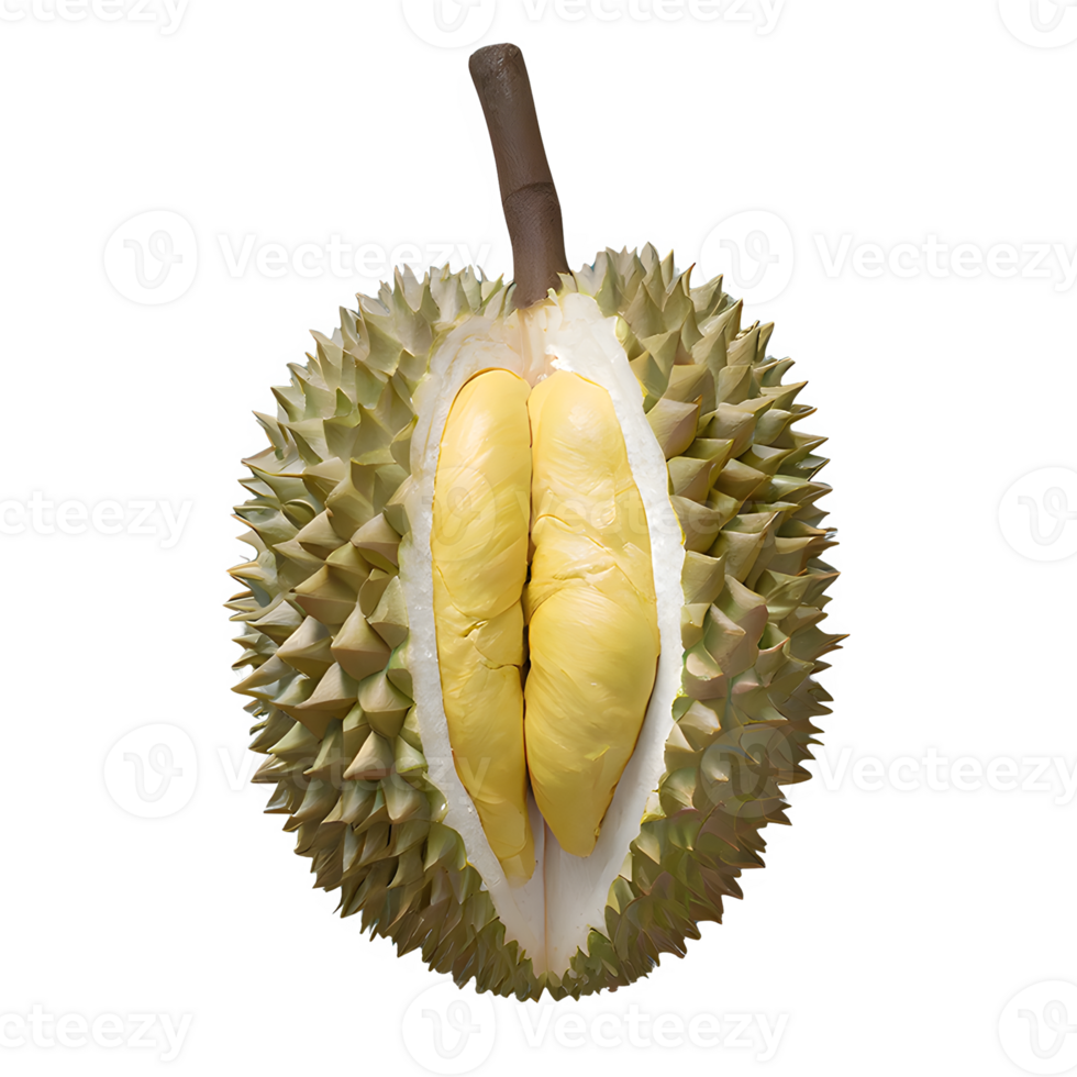 AI generated Ripe durian fruit isolated on transparent background png