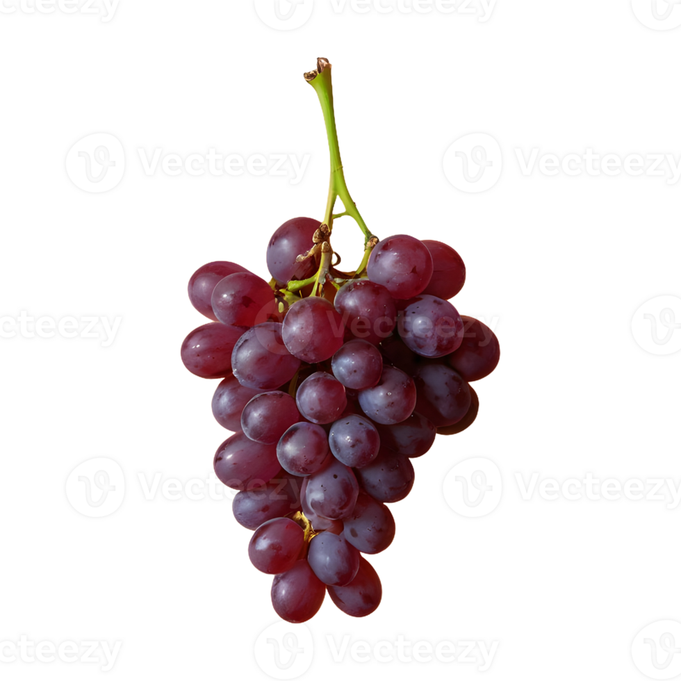AI generated Grape against transparent background isolated png