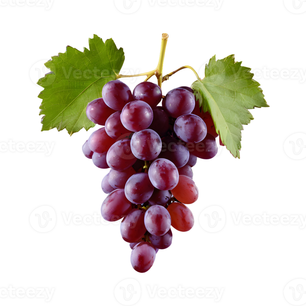 AI generated Grapes on a transparent background separated isolated png