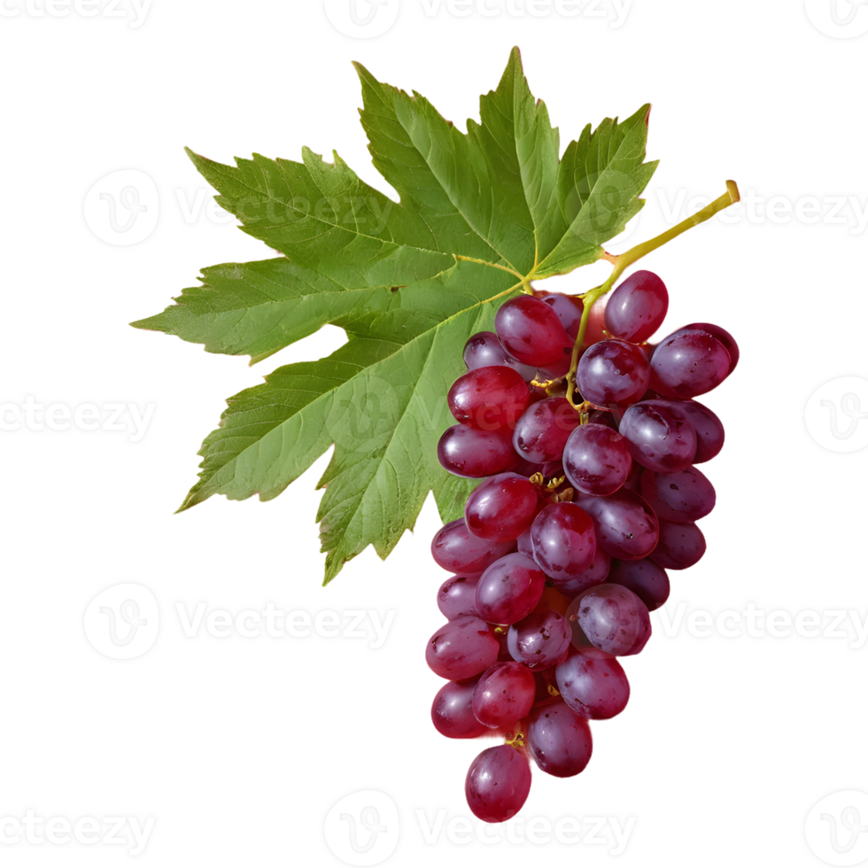 AI generated Red grapes and leaves on transparent background isolated png