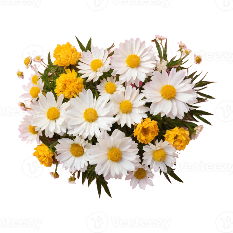 AI generated Isolated background featuring chamomile and peonies isolated png