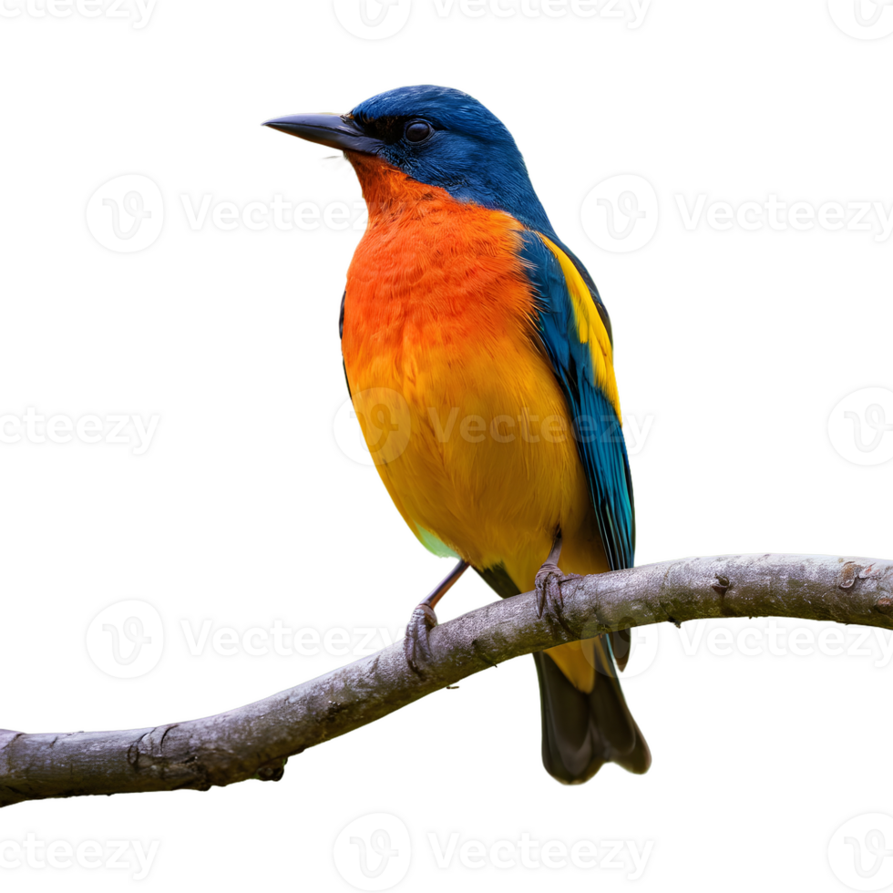 ai generado solitario vibrante pájaro encaramado en el árbol aislado png