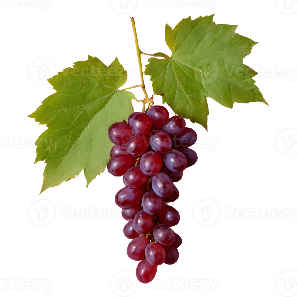 AI generated Red grapes and leaves on transparent background isolated png