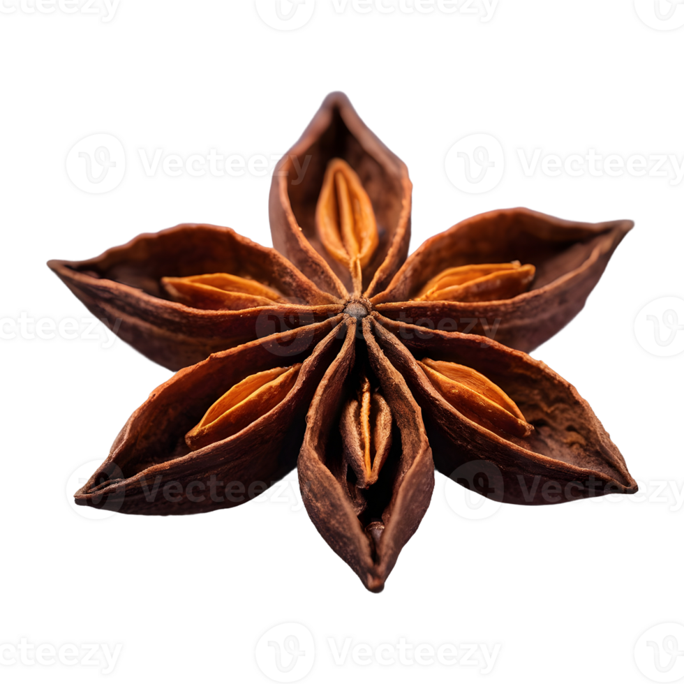 AI generated Closeup of star anise on transparent background isolated png