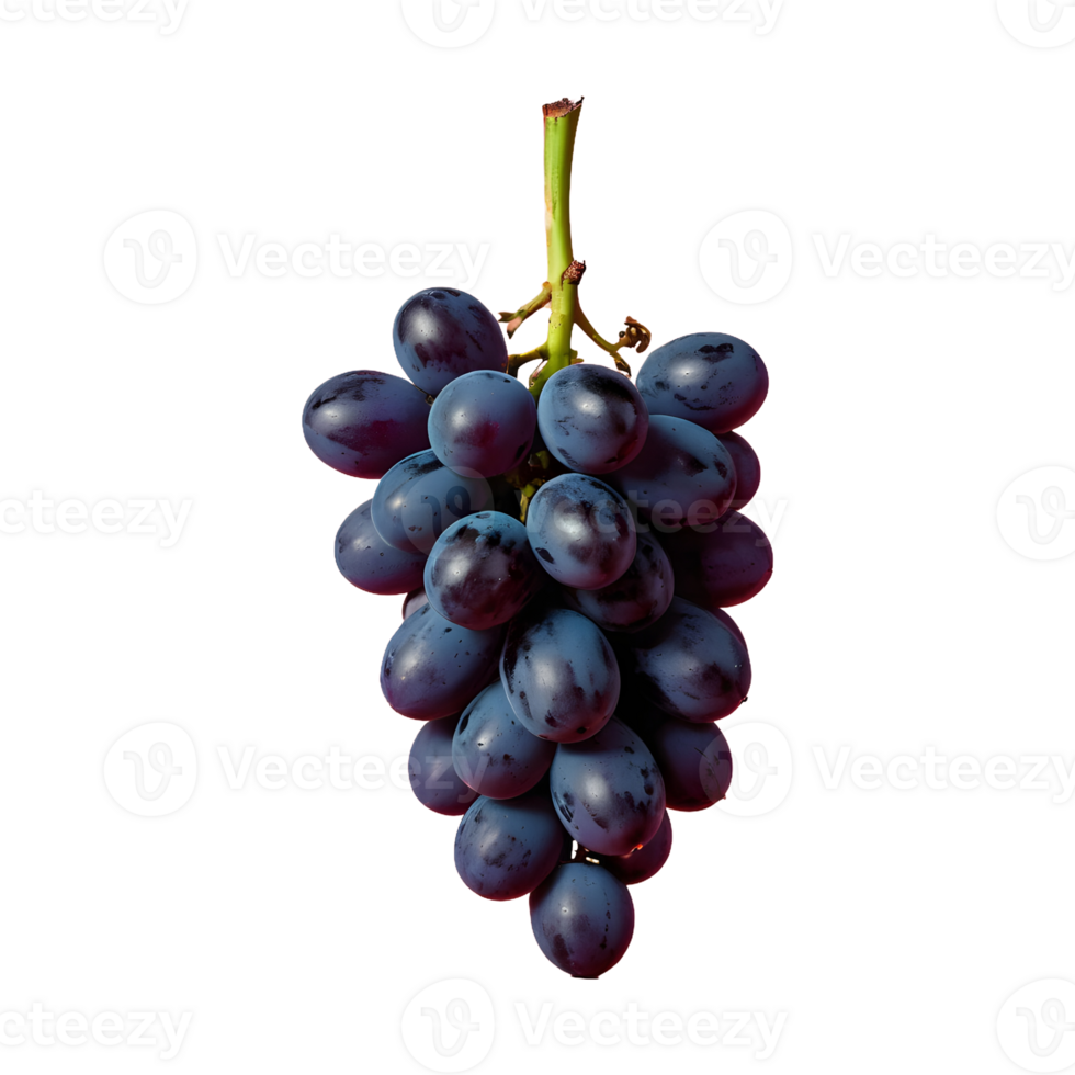 AI generated Grapes on a transparent background separated isolated png