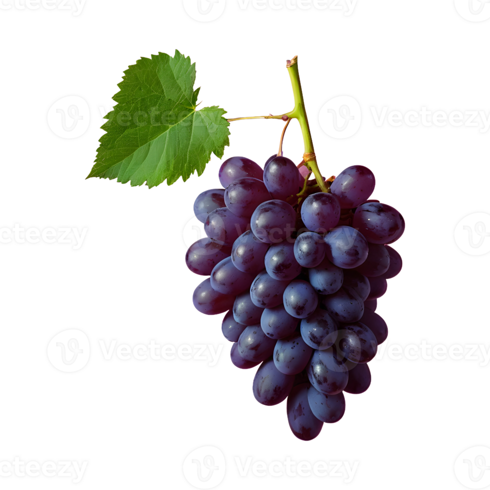 AI generated Grapes on a transparent background separated isolated png