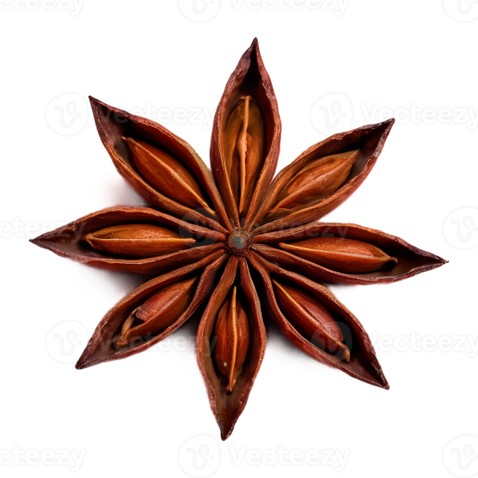 AI generated Closeup of star anise on transparent background isolated png