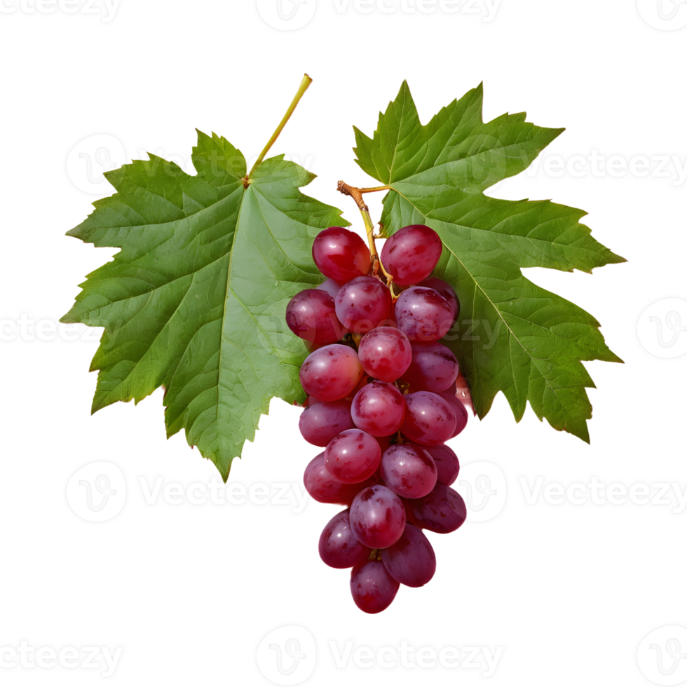 AI generated Red grapes and leaves on transparent background isolated png