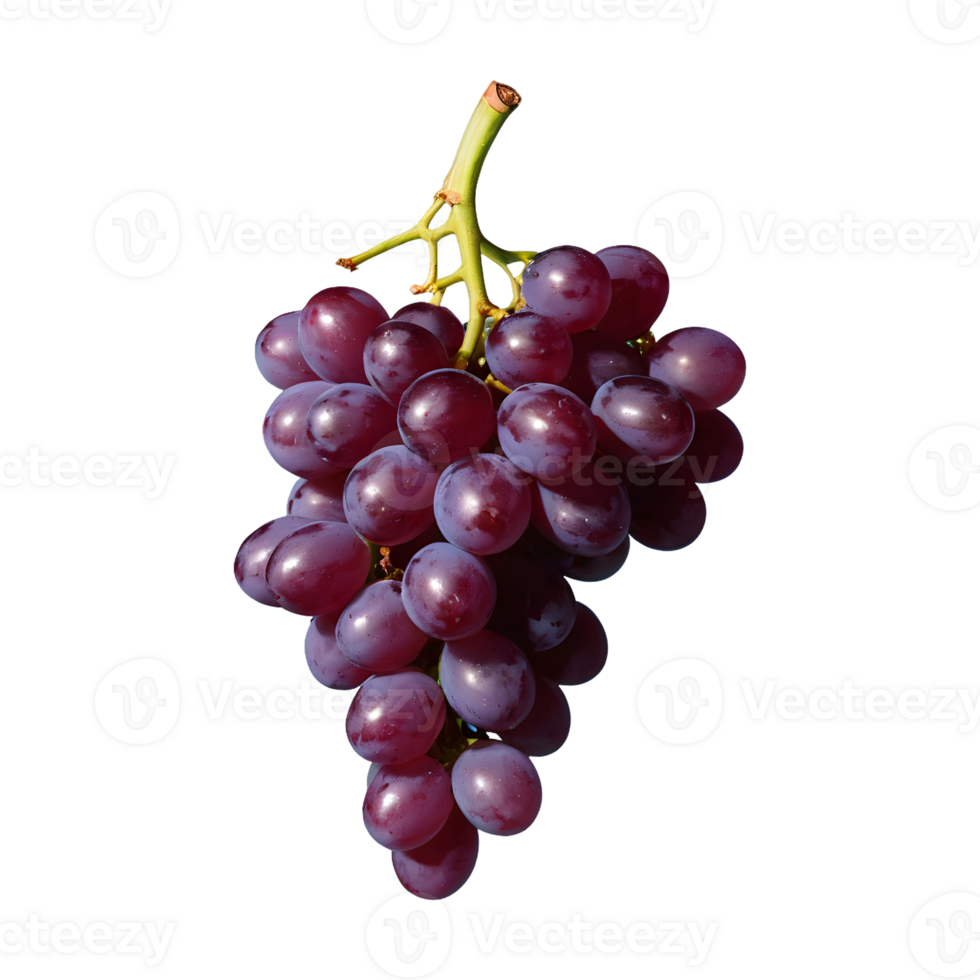 AI generated Grapes on a transparent background separated isolated png