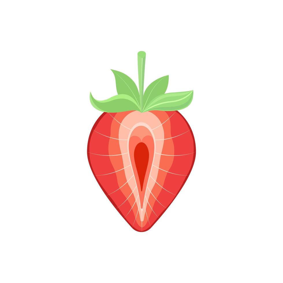 Half strawberry. Fresh red ripe berry on a white background. vector