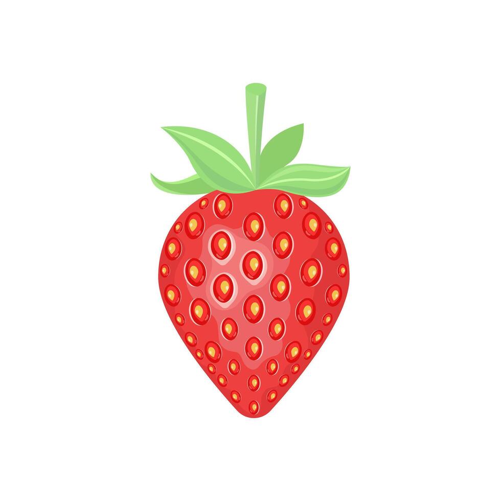 Whole strawberry. Fresh red ripe mellow berry on white background. vector
