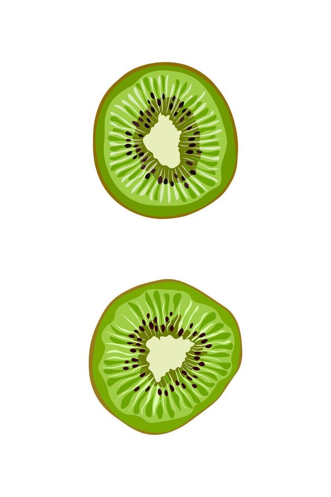 kiwi Fruta o chino Grosella. medio cruzar sección plano color vector icono. exótico kiwi Fruta verde vector ilustración.