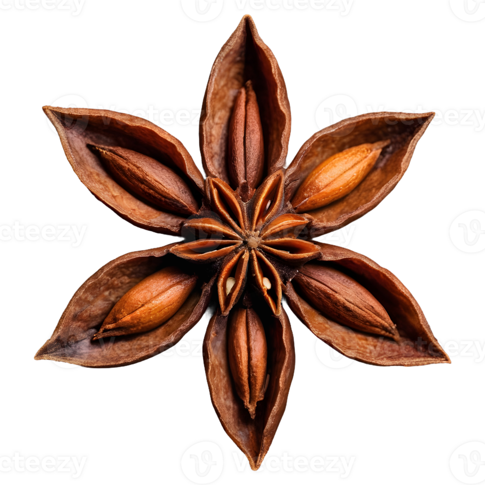 AI generated Closeup of star anise on transparent background isolated png