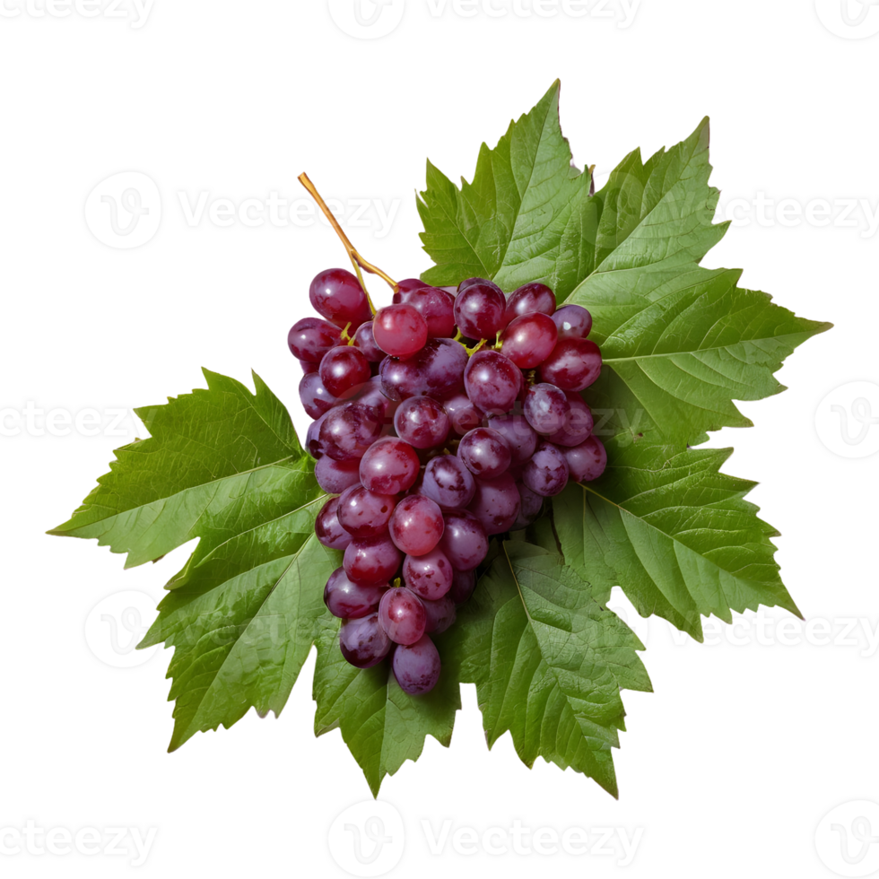AI generated Red grapes and leaves on transparent background isolated png