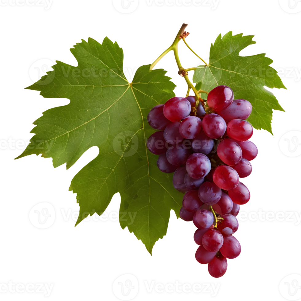 AI generated Red grapes and leaves on transparent background isolated png