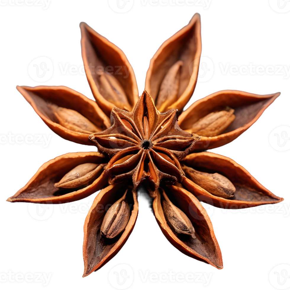 AI generated Closeup of star anise on transparent background isolated png
