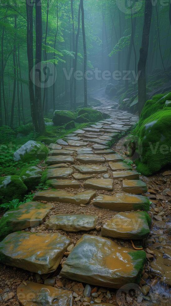 AI generated Stone Path Through Forest photo