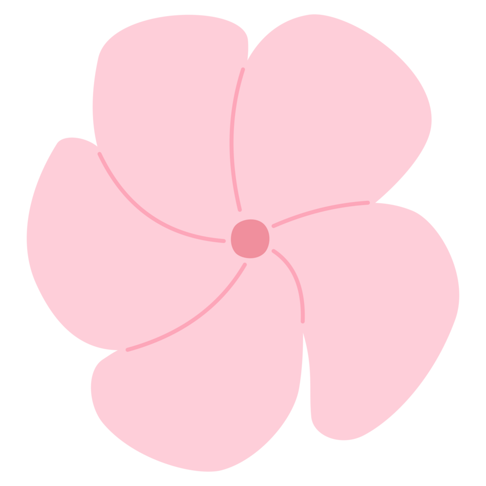 A frangipani PNG transparent background in a spring minimal shape floral concept, illustration
